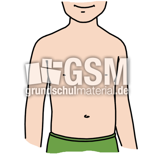 Bauch_farb.jpg